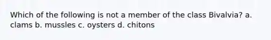 Which of the following is not a member of the class Bivalvia? a. clams b. mussles c. oysters d. chitons