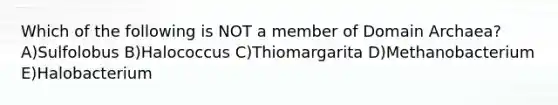 Which of the following is NOT a member of Domain Archaea? A)Sulfolobus B)Halococcus C)Thiomargarita D)Methanobacterium E)Halobacterium