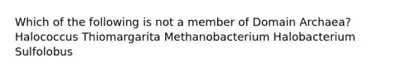 Which of the following is not a member of Domain Archaea? Halococcus Thiomargarita Methanobacterium Halobacterium Sulfolobus