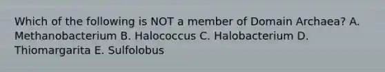 Which of the following is NOT a member of Domain Archaea? A. Methanobacterium B. Halococcus C. Halobacterium D. Thiomargarita E. Sulfolobus