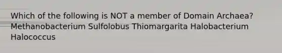 Which of the following is NOT a member of <a href='https://www.questionai.com/knowledge/kfXw10Rlnk-domain-archaea' class='anchor-knowledge'>domain archaea</a>? Methanobacterium Sulfolobus Thiomargarita Halobacterium Halococcus