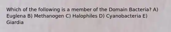 Which of the following is a member of the Domain Bacteria? A) Euglena B) Methanogen C) Halophiles D) Cyanobacteria E) Giardia