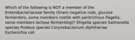 Which of the following is NOT a member of the Enterobacteriaceae family (Gram-negative rods, glucose fermenters, some members motile with peritrichous flagella, some members lactose fermenting)? Shigella species Salmonella species Proteus species Corynebacterium diphtheriae Escherichia coli