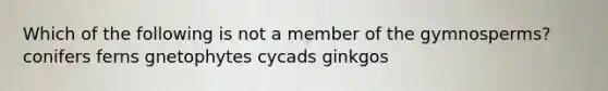 Which of the following is not a member of the gymnosperms? conifers ferns gnetophytes cycads ginkgos