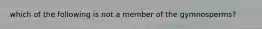 which of the following is not a member of the gymnosperms?