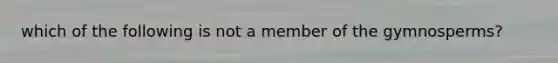 which of the following is not a member of the gymnosperms?