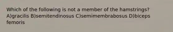 Which of the following is not a member of the hamstrings? A)gracilis B)semitendinosus C)semimembrabosus D)biceps femoris