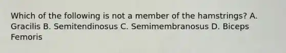 Which of the following is not a member of the hamstrings? A. Gracilis B. Semitendinosus C. Semimembranosus D. Biceps Femoris