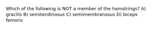 Which of the following is NOT a member of the hamstrings? A) gracilis B) semitendinosus C) semimembranosus D) biceps femoris