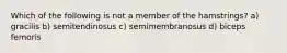 Which of the following is not a member of the hamstrings? a) gracilis b) semitendinosus c) semimembranosus d) biceps femoris