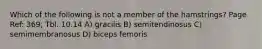 Which of the following is not a member of the hamstrings? Page Ref: 369; Tbl. 10.14 A) gracilis B) semitendinosus C) semimembranosus D) biceps femoris