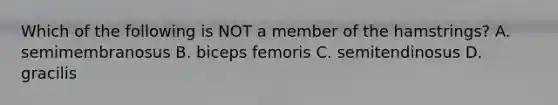 Which of the following is NOT a member of the hamstrings? A. semimembranosus B. biceps femoris C. semitendinosus D. gracilis