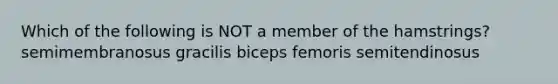 Which of the following is NOT a member of the hamstrings? semimembranosus gracilis biceps femoris semitendinosus