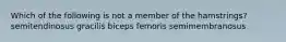 Which of the following is not a member of the hamstrings? semitendinosus gracilis biceps femoris semimembranosus