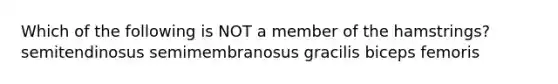 Which of the following is NOT a member of the hamstrings? semitendinosus semimembranosus gracilis biceps femoris