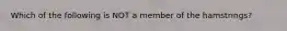 Which of the following is NOT a member of the hamstrings?