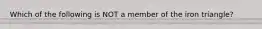 Which of the following is NOT a member of the iron triangle?