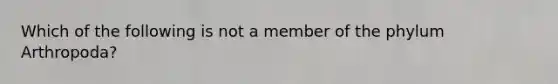 Which of the following is not a member of the phylum Arthropoda?