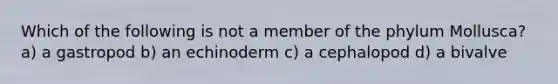 Which of the following is not a member of the phylum Mollusca? a) a gastropod b) an echinoderm c) a cephalopod d) a bivalve