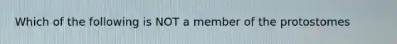 Which of the following is NOT a member of the protostomes