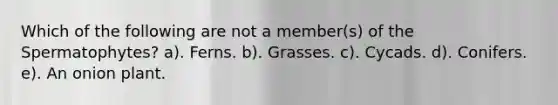 Which of the following are not a member(s) of the Spermatophytes? a). Ferns. b). Grasses. c). Cycads. d). Conifers. e). An onion plant.