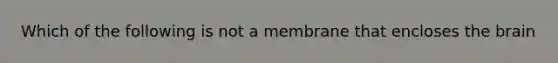 Which of the following is not a membrane that encloses the brain