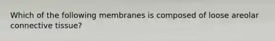 Which of the following membranes is composed of loose areolar connective tissue?