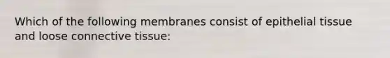 Which of the following membranes consist of epithelial tissue and loose connective tissue: