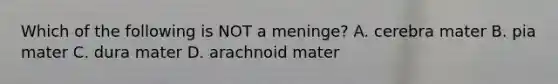 Which of the following is NOT a meninge? A. cerebra mater B. pia mater C. dura mater D. arachnoid mater