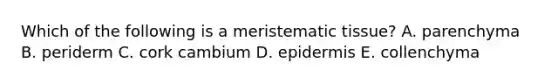 Which of the following is a meristematic tissue? A. parenchyma B. periderm C. cork cambium D. epidermis E. collenchyma