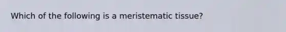 Which of the following is a meristematic tissue?