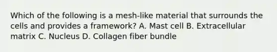 Which of the following is a mesh-like material that surrounds the cells and provides a framework? A. Mast cell B. Extracellular matrix C. Nucleus D. Collagen fiber bundle