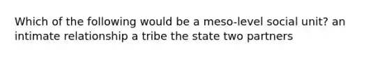 Which of the following would be a meso-level social unit? an intimate relationship a tribe the state two partners