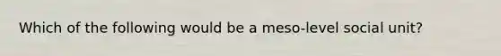 Which of the following would be a meso-level social unit?