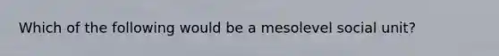 Which of the following would be a mesolevel social unit?