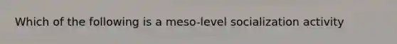 Which of the following is a meso-level socialization activity