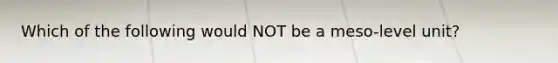 Which of the following would NOT be a meso-level unit?