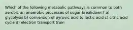 Which of the following metabolic pathways is common to both aerobic an anaerobic processes of sugar breakdown? a) glycolysis b) conversion of pyruvic acid to lactic acid c) citric acid cycle d) electron transport train