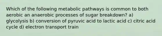 Which of the following metabolic pathways is common to both aerobic an anaerobic processes of sugar breakdown? a) glycolysis b) conversion of pyruvic acid to lactic acid c) citric acid cycle d) electron transport train