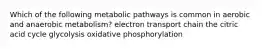 Which of the following metabolic pathways is common in aerobic and anaerobic metabolism? electron transport chain the citric acid cycle glycolysis oxidative phosphorylation