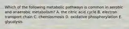 Which of the following metabolic pathways is common in aerobic and anaerobic metabolism? A. the citric acid cycle B. electron transport chain C. chemiosmosis D. oxidative phosphorylation E. glycolysis