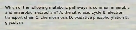 Which of the following metabolic pathways is common in aerobic and anaerobic metabolism? A. the citric acid cycle B. electron transport chain C. chemiosmosis D. oxidative phosphorylation E. glycolysis