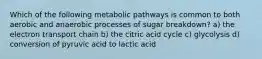 Which of the following metabolic pathways is common to both aerobic and anaerobic processes of sugar breakdown? a) the electron transport chain b) the citric acid cycle c) glycolysis d) conversion of pyruvic acid to lactic acid