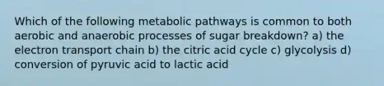 Which of the following metabolic pathways is common to both aerobic and anaerobic processes of sugar breakdown? a) the electron transport chain b) the citric acid cycle c) glycolysis d) conversion of pyruvic acid to lactic acid