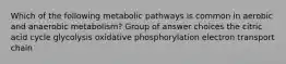 Which of the following metabolic pathways is common in aerobic and anaerobic metabolism? Group of answer choices the citric acid cycle glycolysis oxidative phosphorylation electron transport chain