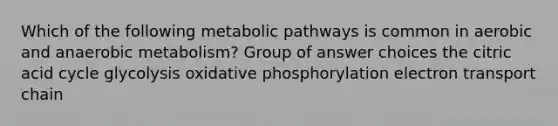 Which of the following <a href='https://www.questionai.com/knowledge/knsdYmc5Au-metabolic-pathways' class='anchor-knowledge'>metabolic pathways</a> is common in aerobic and anaerobic metabolism? Group of answer choices the citric acid cycle glycolysis <a href='https://www.questionai.com/knowledge/kFazUb9IwO-oxidative-phosphorylation' class='anchor-knowledge'>oxidative phosphorylation</a> electron transport chain