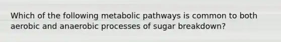 Which of the following metabolic pathways is common to both aerobic and anaerobic processes of sugar breakdown?