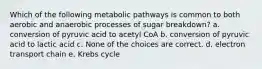 Which of the following metabolic pathways is common to both aerobic and anaerobic processes of sugar breakdown? a. conversion of pyruvic acid to acetyl CoA b. conversion of pyruvic acid to lactic acid c. None of the choices are correct. d. electron transport chain e. Krebs cycle