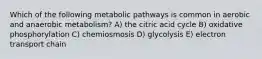 Which of the following metabolic pathways is common in aerobic and anaerobic metabolism? A) the citric acid cycle B) oxidative phosphorylation C) chemiosmosis D) glycolysis E) electron transport chain