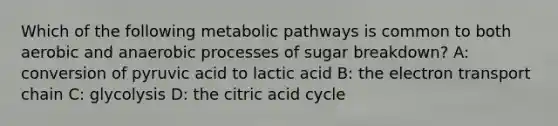 Which of the following metabolic pathways is common to both aerobic and anaerobic processes of sugar breakdown? A: conversion of pyruvic acid to lactic acid B: the electron transport chain C: glycolysis D: the citric acid cycle